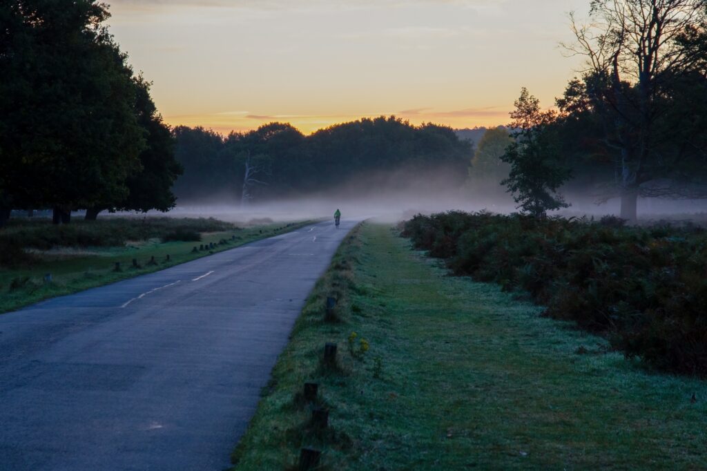 A cyclist riding through the fog on a park's cycling path