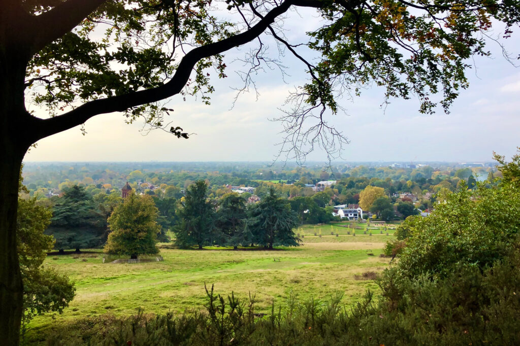 view of Richmond Hill